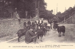 Carte postale Salies-de-Béarn