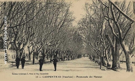 Carte postale de Carpentras