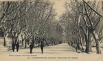 Carte postale Carpentras