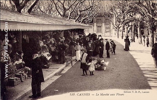 Carte postale de Cannes