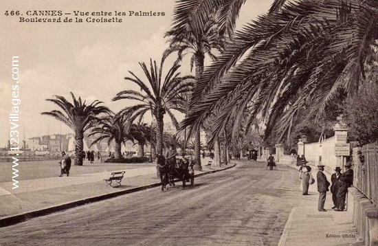 Carte postale de Cannes