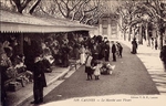 Carte postale Cannes