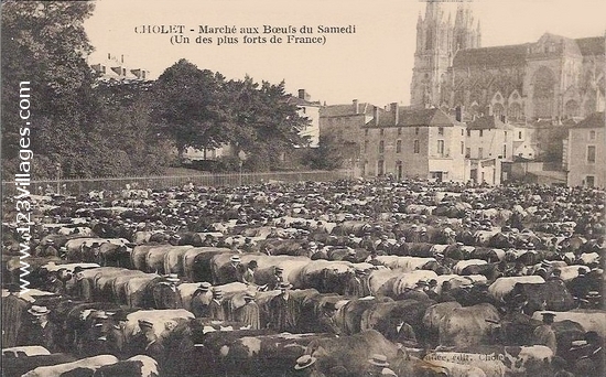 Carte postale de Cholet