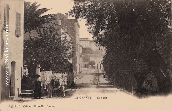 Carte postale de Cannet