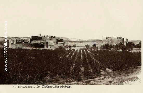 Carte postale de Salces