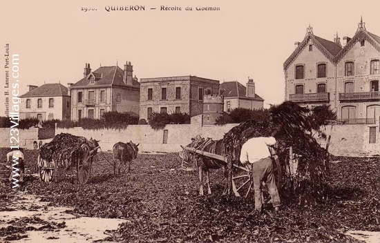 Carte postale de Quiberon