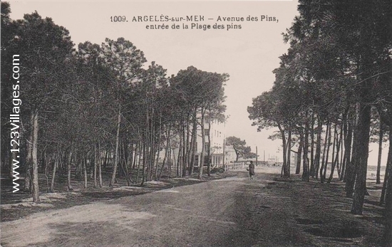 Carte postale de Argelès-sur-Mer