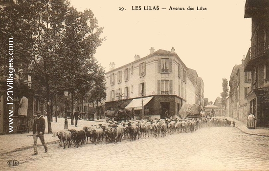 Carte postale de Les Lilas