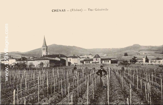 Carte postale de Chénas