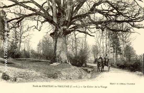 Carte postale de Château-la-Vallière