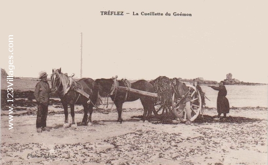 Carte postale de Tréflez