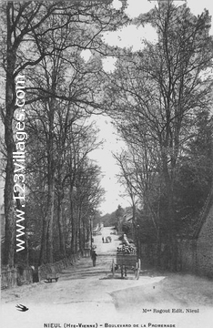 Carte postale de Nieul