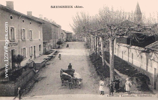 Carte postale de Savigneux