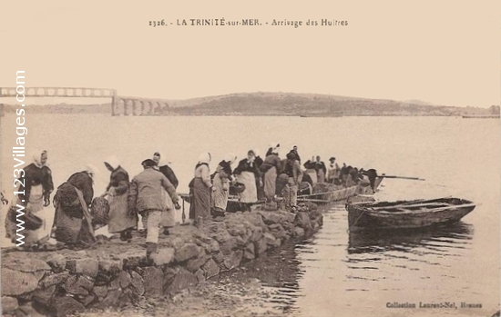 Carte postale de La Trinité-sur-Mer