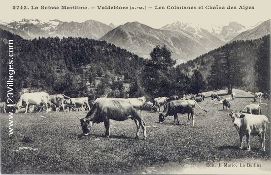 Carte postale de Valdeblore