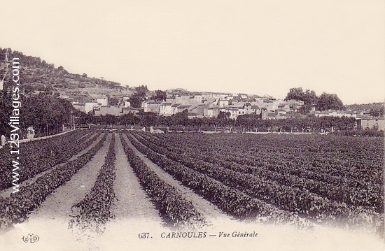 Carte postale de Carnoules