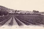 Carte postale Carnoules