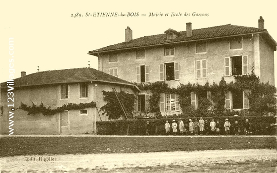 Carte postale de Saint-Étienne-du-Bois