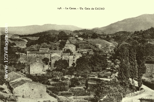 Carte postale de Cauro