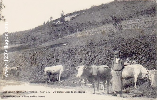 Carte postale de Poule-les-Echarmeaux