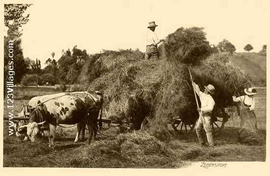 Carte postale de Zoebersdorf