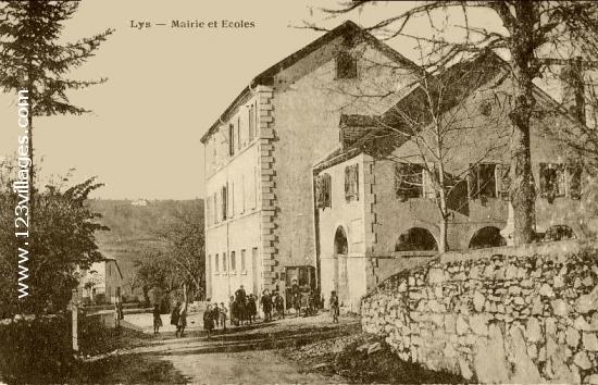 Carte postale de Lys 