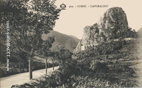 Carte postale de Omessa . Caporalino