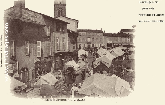 Carte postale de Le Bois-d Oingt