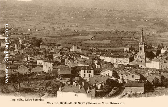 Carte postale de Le Bois-d Oingt