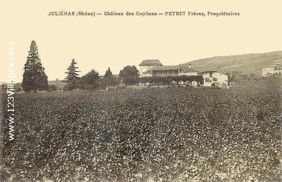 Carte postale de Juliénas