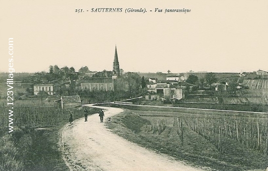 Carte postale de Sauternes