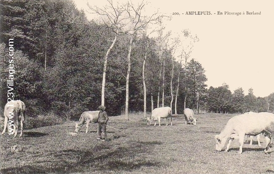 Carte postale de Amplepuis