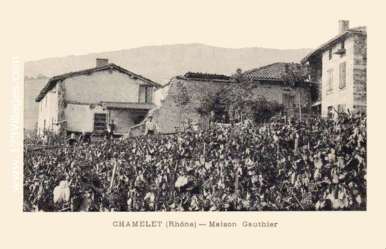 Carte postale de Chamelet